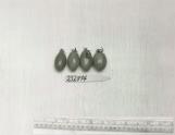 Click for 1 image(s) for this accession. FRUIT